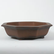 Vaso Cermica Bonsai - Octogonal - C.43 x A.12 cm